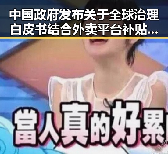 中国政府发布关于全球治理白皮书结合外卖平台补贴规范的背后逻辑
