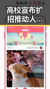 高校宣布扩招推动人才培养，王星昊连胜韩国三将成焦点