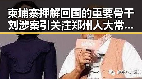 柬埔寨押解回国的重要骨干刘涉案引关注 郑州人大常委会原一级巡视员王广灿被开除党籍事件曝光