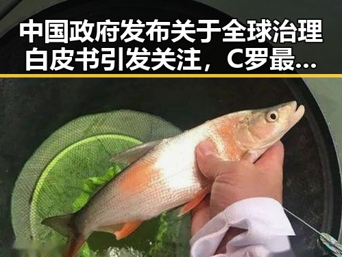 中国政府发布关于全球治理白皮书引发关注，C罗最新发声冲上热搜第一展现国际舆论新动向