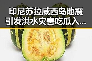 印尼苏拉威西岛地震引发洪水灾害吃瓜入口引发关注
