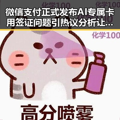 微信支付正式发布AI专属卡用签证问题引热议分析让ai直接花你靠谱吗