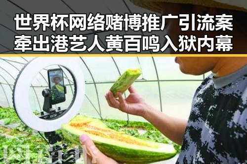 世界杯网络赌博推广引流案牵出港艺人黄百鸣入狱内幕