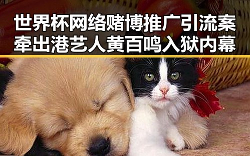 世界杯网络赌博推广引流案牵出港艺人黄百鸣入狱内幕